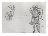 Buy Snail and Hungarian Soldier at AllPosters.com