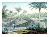 Buy Volcanoes in the Region of Turbaco at AllPosters.com