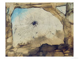 Buy Vianden Through a Spider's Web at AllPosters.com