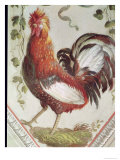 Buy Detail of a Cockerel, Late 18th Century at AllPosters.com