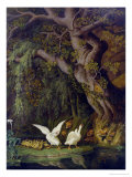 Buy Foxes and Geese at AllPosters.com