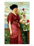 A Red, Red Rose