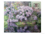 Buy Hydrangeas on the Banks of the River Lys, 1898 at AllPosters.com
