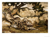 Buy A Python Killing a Tiger at AllPosters.com