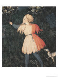 Buy Young Falconer, Florentine School at AllPosters.com