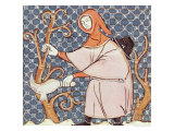 March: Pruning Trees