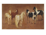 Buy Study of Five Horses at AllPosters.com