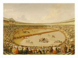 The Bullfight