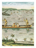 Buy How the Indians Catch Their Fish, from "Admiranda Narratio..." at AllPosters.com