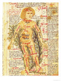 Buy Influence of the Stars on Illnesses of the Human Body, from "Tractatus de Pestilencia" at AllPosters.com