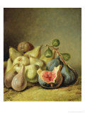 Fruit Still Life