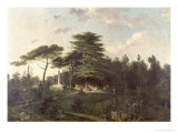 Buy The Cedar of Lebanon in the Jardin des Plantes at AllPosters.com