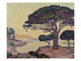 Buy Umbrella Pines at Caroubiers, 1898 at AllPosters.com