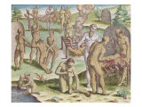 Buy Scene of Cannibalism, from "Brevis Narratio" 1564 at AllPosters.com