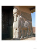 Winged Human-Headed Bull, Neo-Assyrian Period, Reign of Ashurnasirpal II