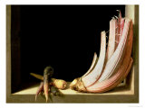Buy Still Life with a Cardoon at AllPosters.com