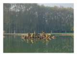 Buy Apollo in His Chariot, from the Bassin D'Apollon, 1668-71 at AllPosters.com