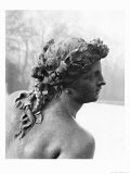 Buy The Saone River from the Parterre D'Eau in the Gardens, 1685 at AllPosters.com