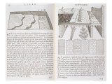 Buy Stages and Methods of Laying Floors, from "Della Architettura", Published 1590 at AllPosters.com