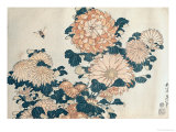 Chrysanthemums