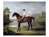 The Marquess of Rockingham's "Scrub", with John Singleton Up, 1762