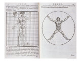 Buy Ideal Proportions Based on the Human Body, from "Della Architettura", Published 1590 at AllPosters.com
