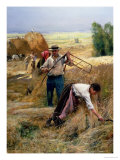 Buy Harvesting at AllPosters.com