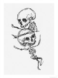Buy Skeletons, Illustration from "Complainte de L'Oubli et des Morts" at AllPosters.com