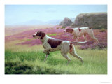 Buy Pointers in a Landscape at AllPosters.com