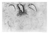 Buy Fourteen Egrets at AllPosters.com