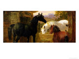 Buy Farmyard Scene at AllPosters.com