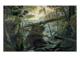 Buy Indians Using a Fallen Tree-Trunk to Cross the Rio Paraiba Do Sul at AllPosters.com