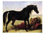 Buy An Arabian Horse at AllPosters.com