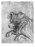 Buy Head of a Dog at AllPosters.com