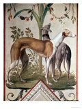 Buy Two Greyhounds at AllPosters.com