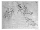 Buy Two Heads of Stags, One Head of a Doe at AllPosters.com