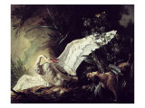 Buy A Water Spaniel Attacking a Swan on Its Nest, 1740 at AllPosters.com
