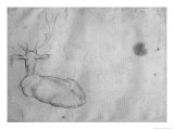 Buy Resting Stag, Seen from Behind at AllPosters.com