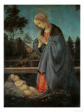Madonna Worshipping the Child, circa 1477-80