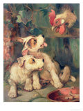 Buy Three's a Crowd at AllPosters.com