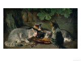 Buy Dinner Time at AllPosters.com