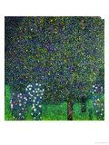 Roses Under the Trees, circa 1905