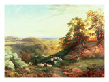 Buy Watching the Flock at AllPosters.com