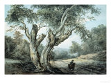 Buy A Road Through Windsor Forest at AllPosters.com