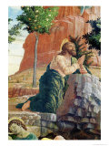 Agony in Garden, Left Hand Predella Panel from the Altarpiece of St. Zeno of Verona, 1456-60
