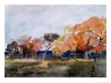 Buy Autumn, Sussex at AllPosters.com