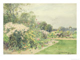 Buy October Flowers at AllPosters.com