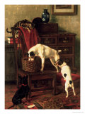 Buy A Discreet Inquiry: Don't Disturb Me at the Royal Academy, 1896 at AllPosters.com