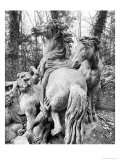 Buy Tritons Grooming Two Horses of the Sun in the Grove of the Baths of Apollo, circa 1667-72 at AllPosters.com