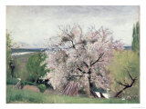 Buy Fruit Tree in Blossom, Bois-Le-Roi at AllPosters.com